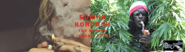 трава Белокуриха