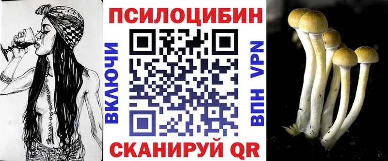 Галлюциногенные грибы Psilocybine cubensis сколько стоит KRAKEN ссылка Нижний Ломов