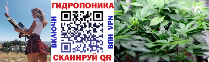 Шишки марихуана тримм  цены наркотик  blacksprut онион  Нижний Ломов 